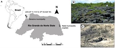 Mammal <mark class="highlighted">Taphonomy</mark> in a Cave Deposit From Quaternary of Brazil